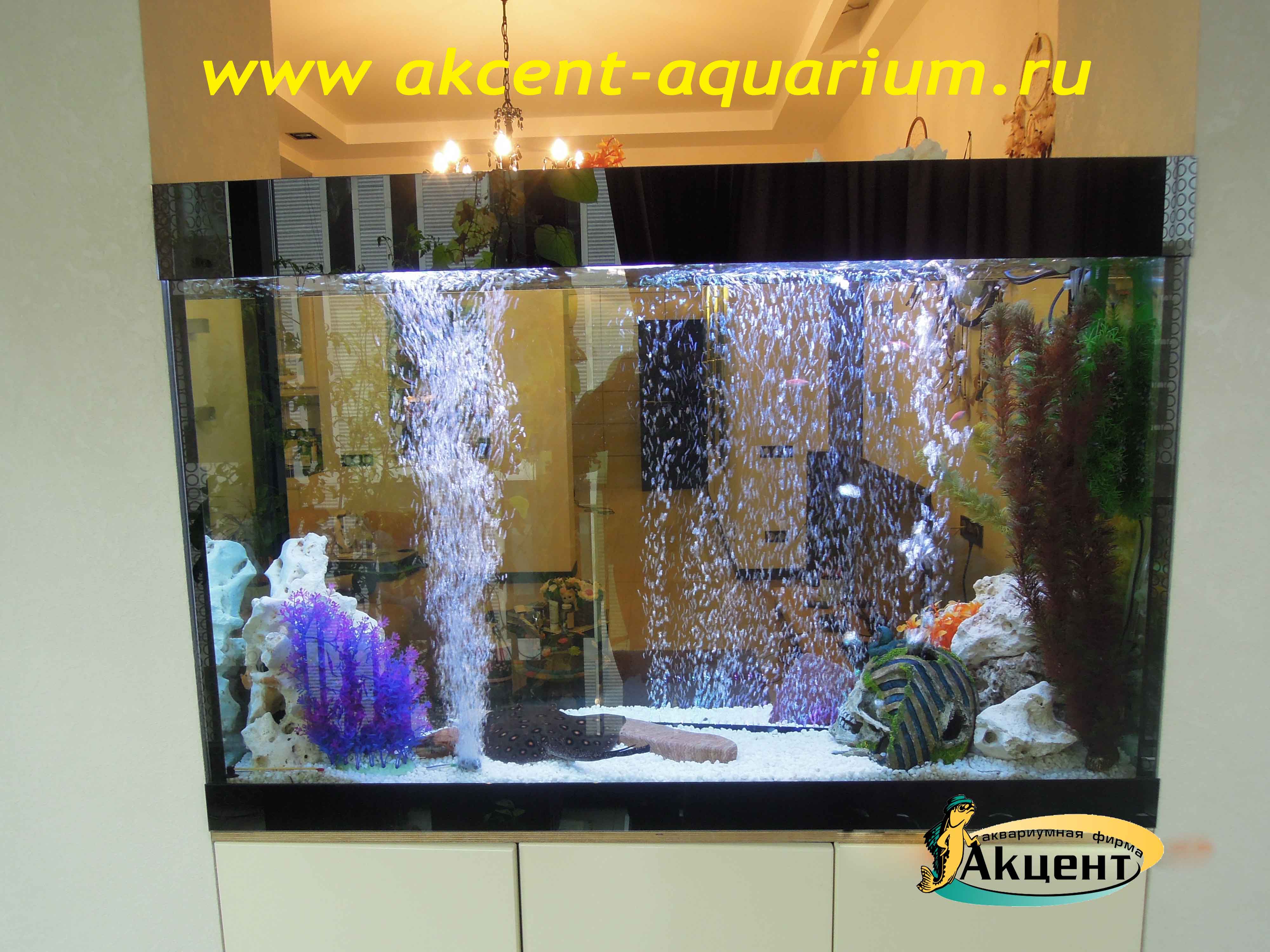 Акцент-аквариум,морской аквариум 400 литров встроенный в стену, вид со стороны комнаты